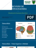 Revisão de Neuroanaomia