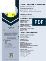 Luidhy Gabriel S. Bandeira: Formação Acad Experiência Profissional