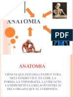 Power Point ANATOMIA5