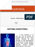 Anatomia 5