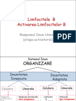 LB, Rec - Activare (2020)