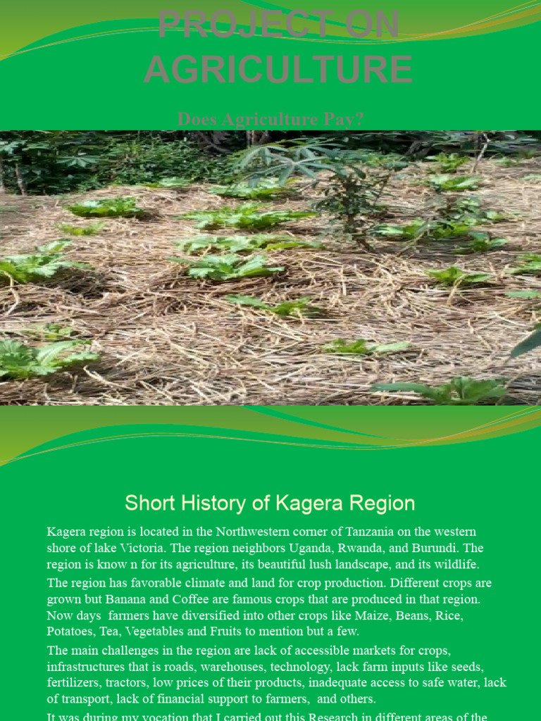 Project On Agriculture | PDF | Agriculture | Vegetables