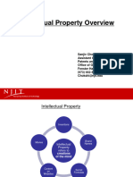 Revised Intellectual Property Presentation Official Version