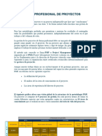 Resumen - M1. GESTIÓN PROFESIONAL DE PROYECTOS 