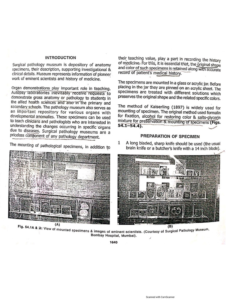 Museum Techniques | PDF