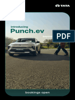 Punchev at A Glance