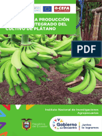 Guía para La Producción y Manejo Integrado Del Cultivo de Plátano