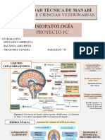 Proyecto Fin de Ciclo Hidrocefalia