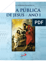 Vida Publica de Jesus Ano I Ana Catarina