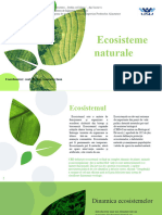 Ecosisteme Naturale