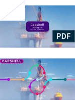 Capshell: Drilling 4.0 FEL PM Timeline
