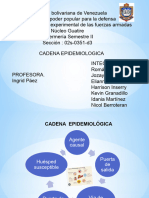 BIOESTADISTICA)