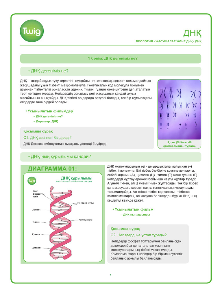 Ойыншықпен оргазм жасайтын әйелдің порносы