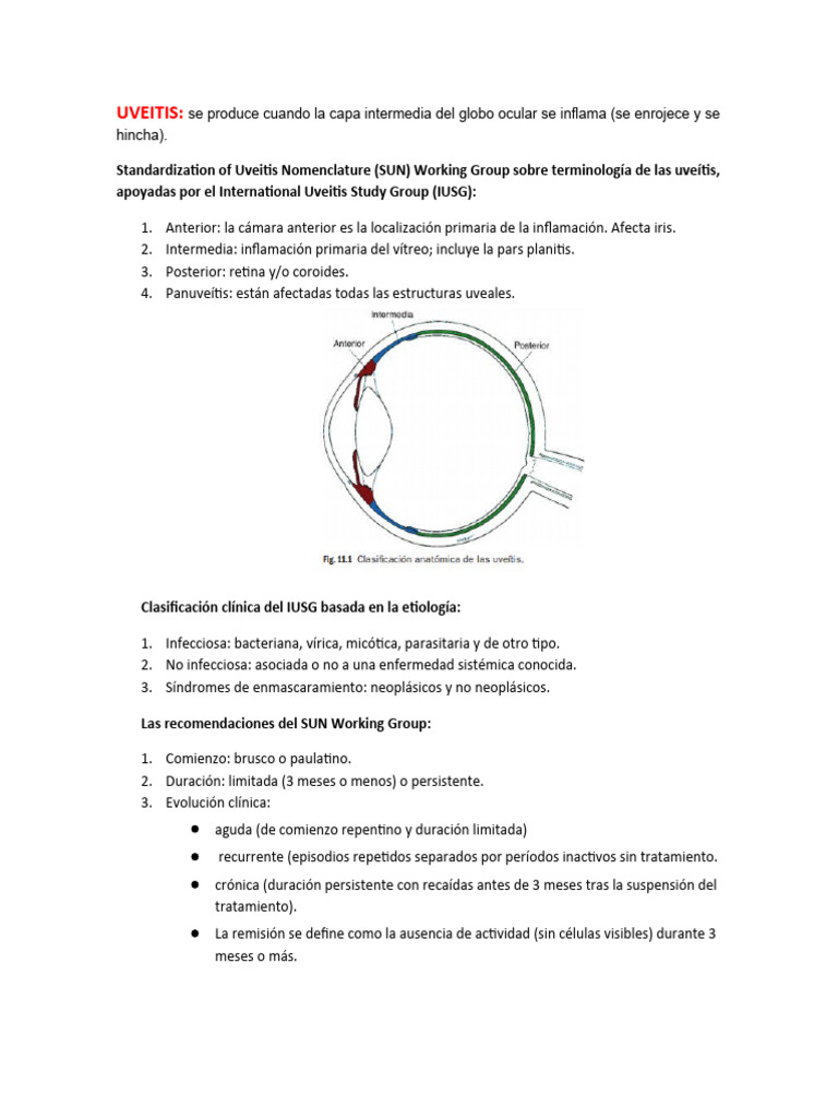 Clasificación y Manejo de Uveítis Ocular | PDF | Inflamación | Visión