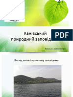 Канівський природний заповідник.