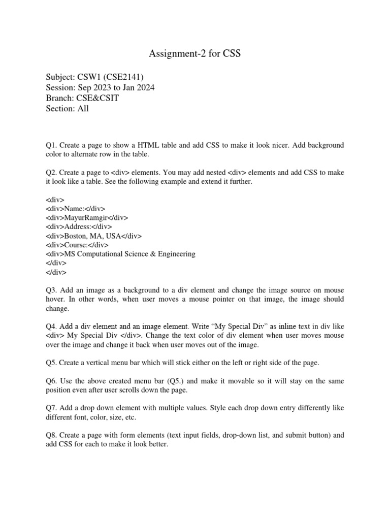 CSW1 Assignment CSS | PDF