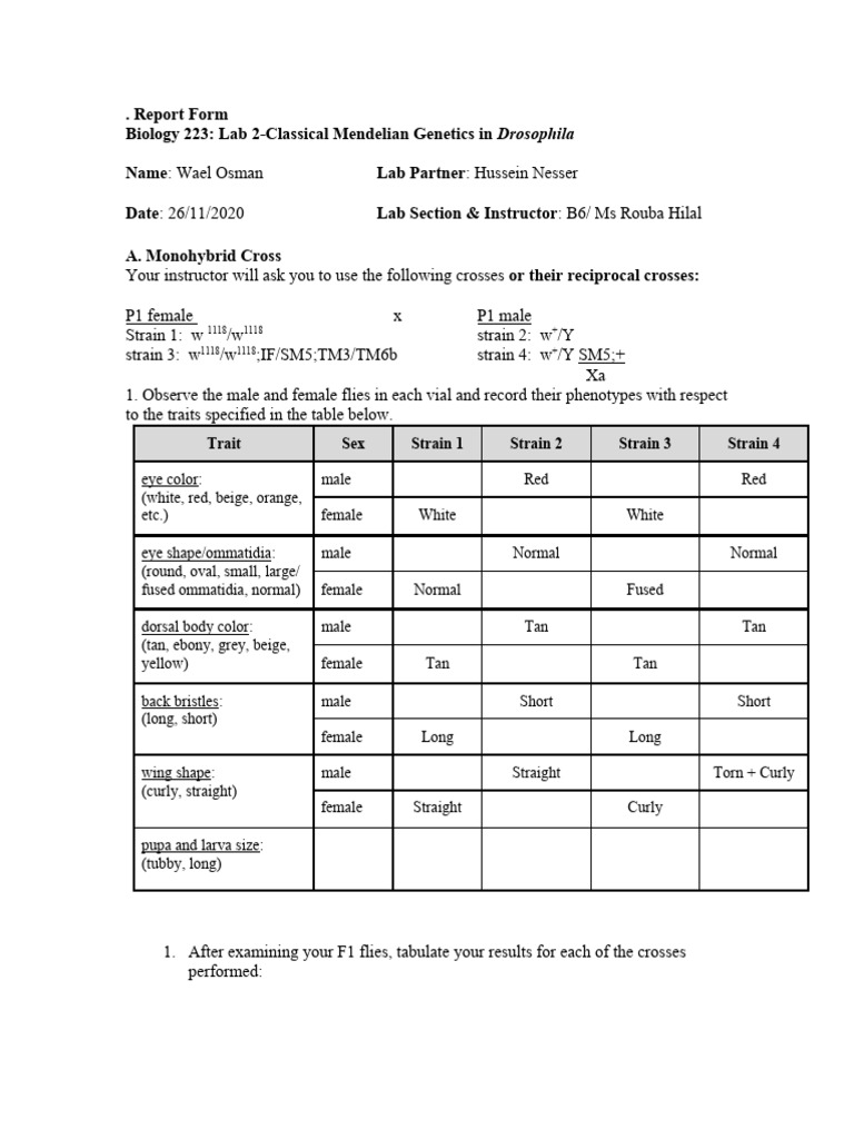 Drosophila Genetics Lab Report | PDF | Statistical Significance | P Value