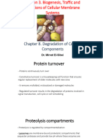 8-Degradation of Cellular Components