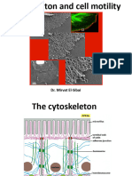 2-Cytoskeleton and Motility