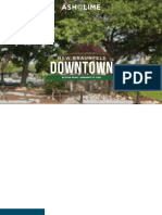 2021 New Braunfels TX Downtown Action Plan
