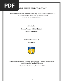 Shivay Csi Internship Report 23