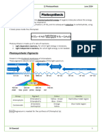 CH 2 - Photosynthesis