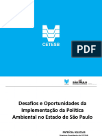 Desafios e Oportunidades No Sistema de Gestão Ambiental Na Esfera Estadual"