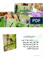 Insectes PDF CC