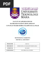 Individual Assignment MKT 558