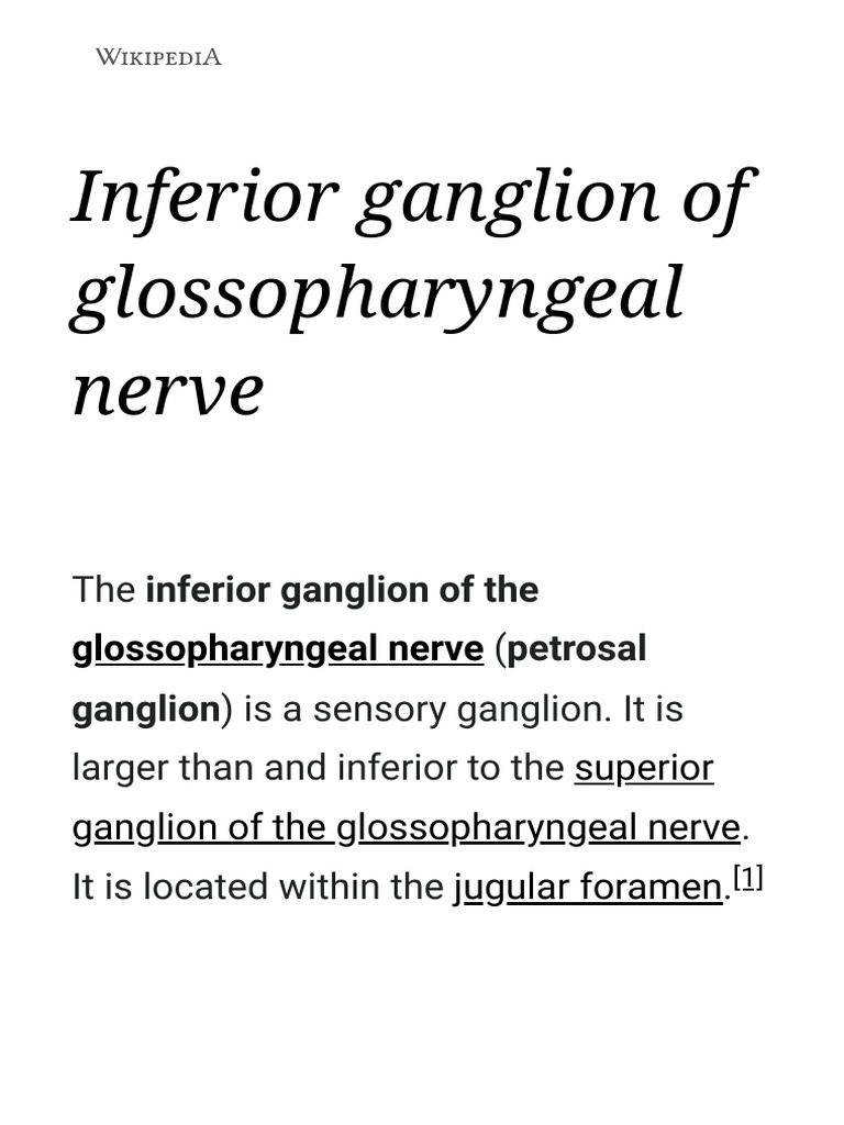 Inferior Glossopharyngeal Ganglion | PDF | Human Head And Neck | Anatomy