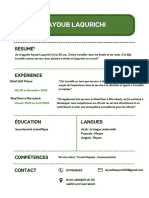 White and Green Minimalist Sales Agent Resume