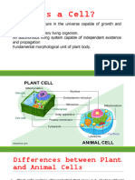 Lecture 2 Cell and Anatomical Organs