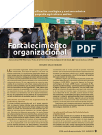 Fortalecimiento Organizacional