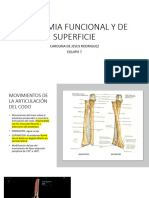 ANATOMIA