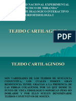 Tejido Cartilaginoso1