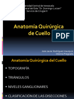 Anatomia de Cuello