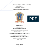 Informe de Capacitores, Fisica 2