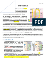 Sistema Renal III