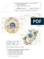 2.1.  - ficha de trabalho nº1