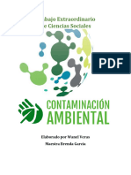 COntaminacion Ambiental