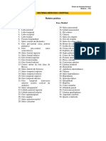 Roteiro Aula Prática 4 Sistema Nervoso - Encéfalo