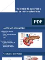 Anatomía y Fisiología de Páncreas y Metabolismo de