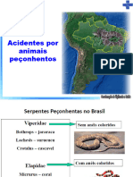 Treinamento Ofidismo-2022