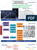 G3 Subgrupo 4 Conduccion Del Impulso Nervioso e Intermediarios Químicos