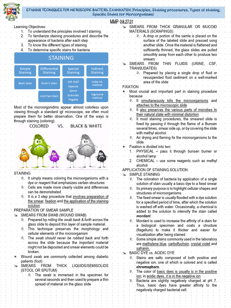 Staining Techniques Bacterial Examination | PDF | Staining | Cytopathology
