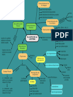 Mapa Mental - Acto de La Lectura