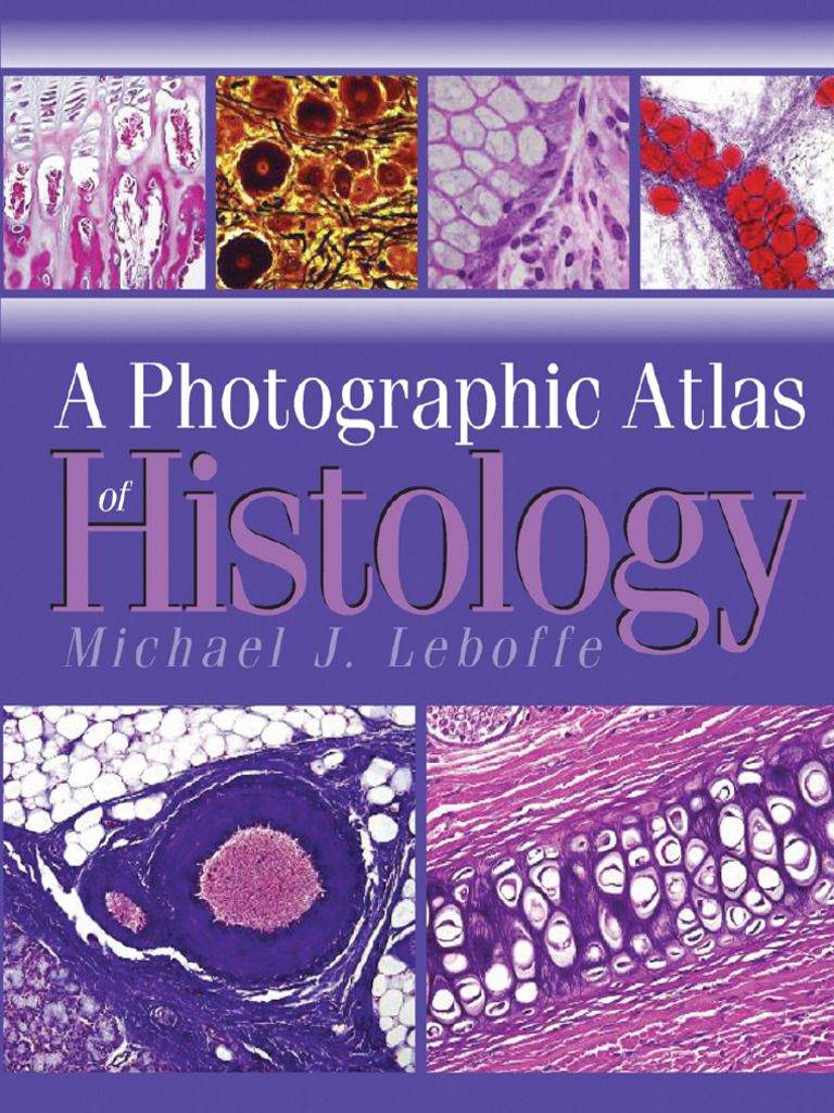 A Photographic Atlas of Histology | PDF | Staining | Endoplasmic Reticulum