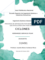 CICLONES - Hernandez Gervacio Pilar 3IM91