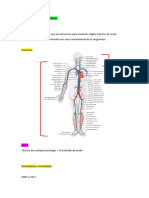 Estudo Ultrassonografia Vascular