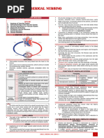 Medical Surgerical Nursing: Lecture / Nurs 13 Ppts / Book